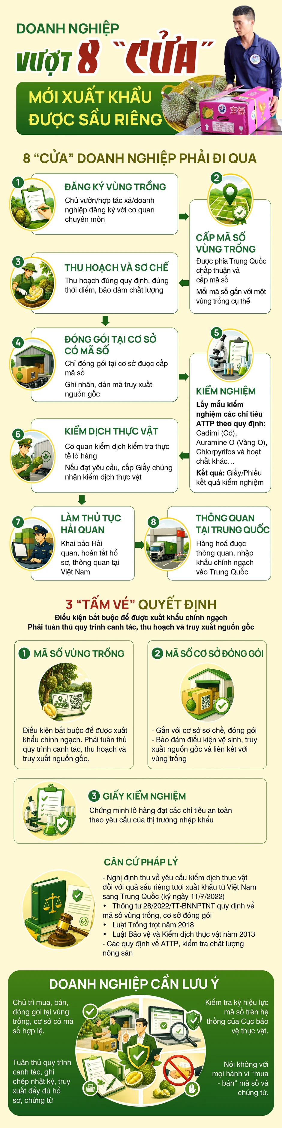 Doanh nghiệp phải vượt 8 'cửa' mới xuất khẩu được sầu riêng Doanh nghiệp phải vượt 8 'cửa' mới xuất khẩu được sầu riêng