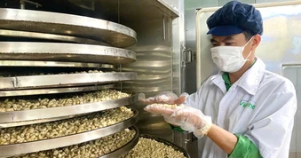 Doanh nghiệp tìm "cửa sáng" tại Trung Đông giữa biến động địa chính trị