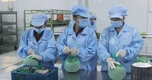 Doanh nghiệp Việt có bị tác động khi Fed tăng lãi suất?