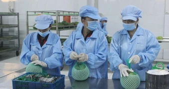 Doanh nghiệp Việt có bị tác động khi Fed tăng lãi suất?