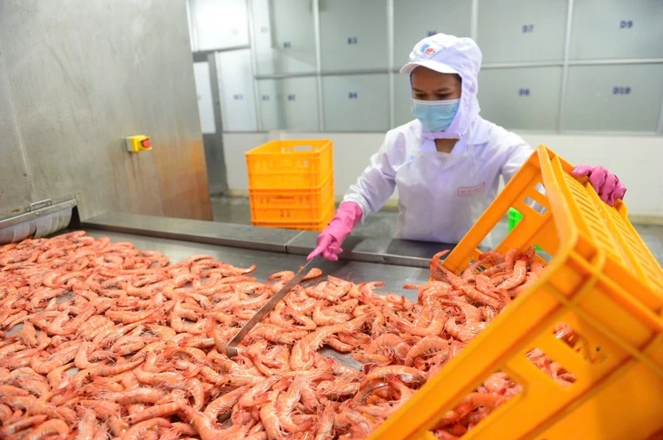 Doanh nghiệp Việt dè dặt nhận đơn hàng đi Trung Đông Doanh nghiệp Việt dè dặt nhận đơn hàng đi Trung Đông
