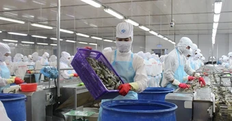 Doanh nghiệp xuất khẩu đối mặt với chi phí logistics "chưa từng có"