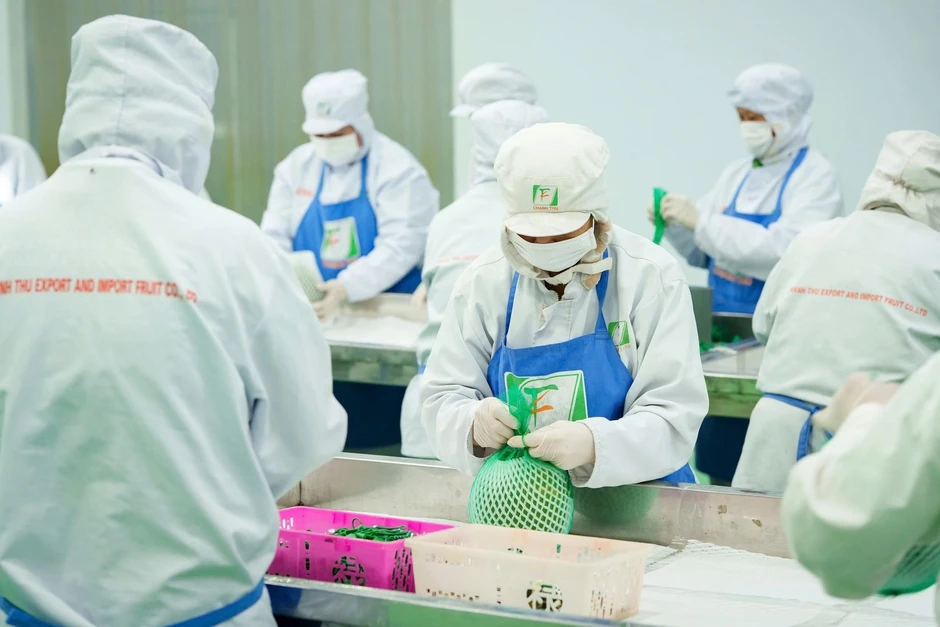 Gạo, hạt điều và loạt nông sản vào Trung Quốc bị kiểm soát chặt từ 1/6