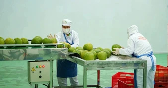 Gạo, hạt điều và loạt nông sản vào Trung Quốc bị kiểm soát chặt từ 1/6