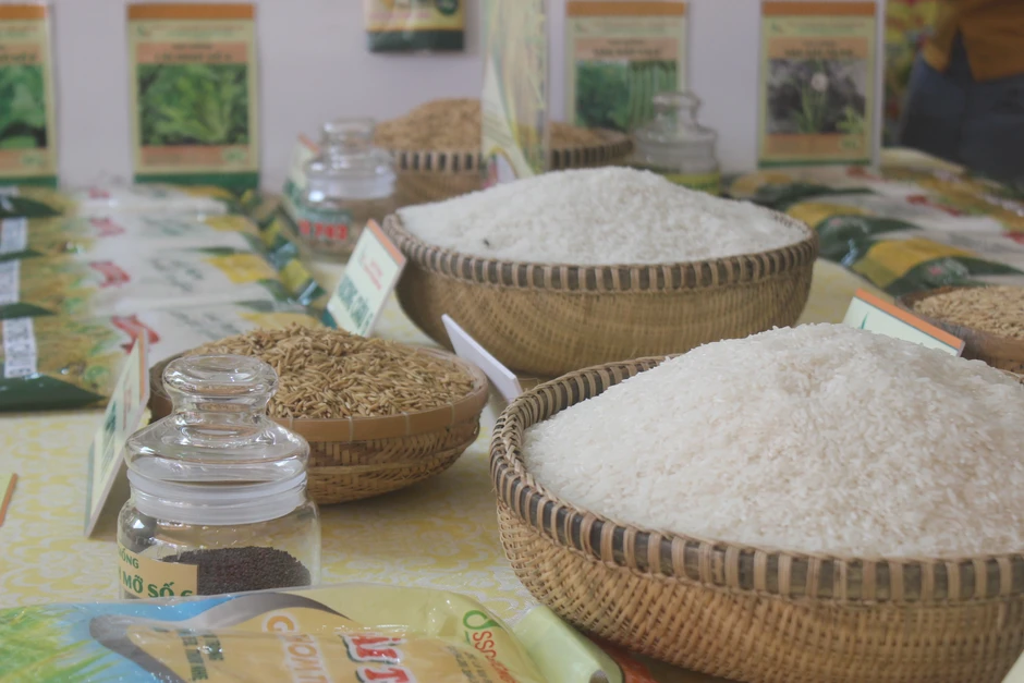Giá gạo châu Á tăng mạnh nhất gần 20 năm, cơ hội nào cho Việt Nam?