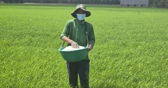 Giá gạo châu Á tăng mạnh nhất gần 20 năm, cơ hội nào cho Việt Nam?