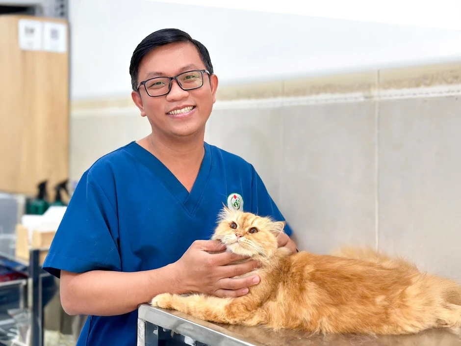 Hiểu đúng về thức ăn và chuẩn an toàn để bảo vệ thú cưng Hiểu đúng về thức ăn và chuẩn an toàn để bảo vệ thú cưng