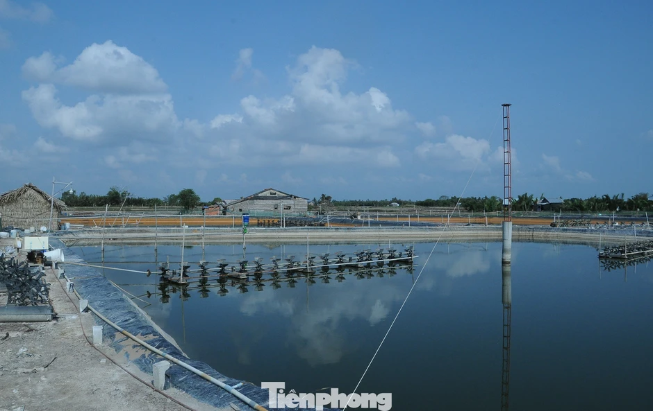 Khơi thông thủ tục chứng nhận cho tôm nguyên liệu xuất khẩu Khơi thông thủ tục chứng nhận cho tôm nguyên liệu xuất khẩu