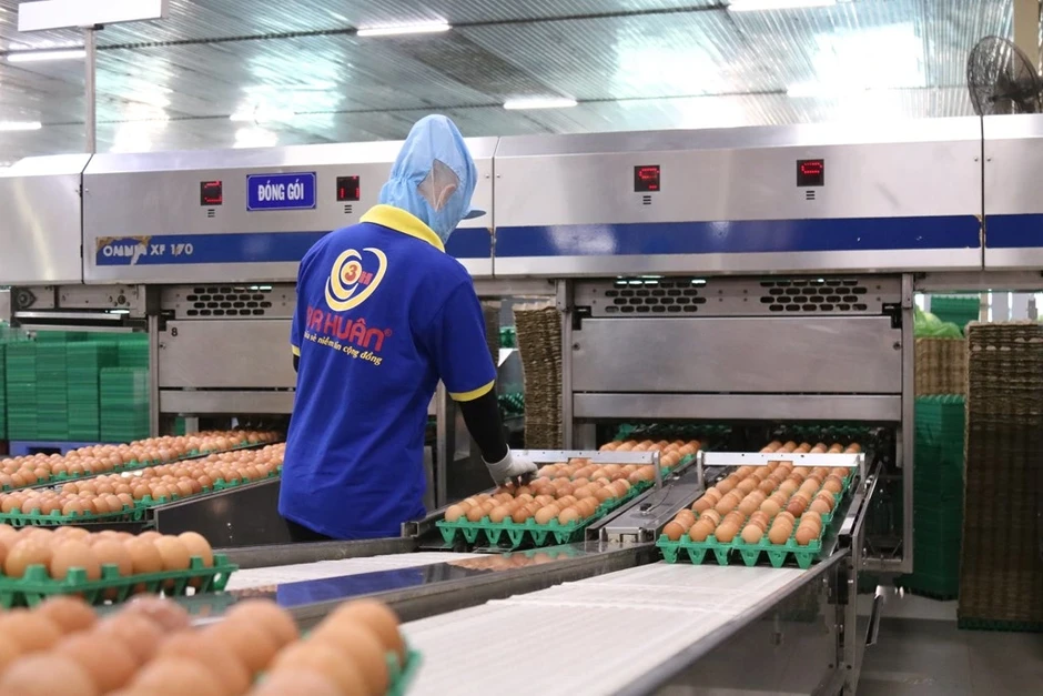 Ngân hàng rao bán khoản nợ hơn 620 tỷ đồng của Công ty trứng gà Ba Huân Ngân hàng rao bán khoản nợ hơn 620 tỷ đồng của Công ty trứng gà Ba Huân