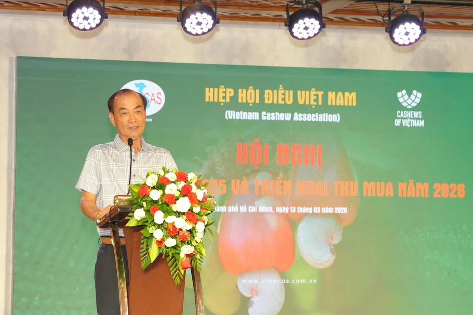 Ngành điều 2026: Khát nguyên liệu và rủi ro thanh toán "bủa vây"