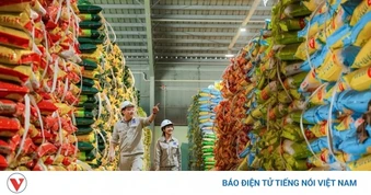 Nhà máy Đạm Phú Mỹ vận hành công suất, đảm bảo nguồn cung phân bón và xuất khẩu