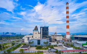 Nhiều lãnh đạo doanh nghiệp vướng lao lý, ngành điện ứng phó ra sao?
