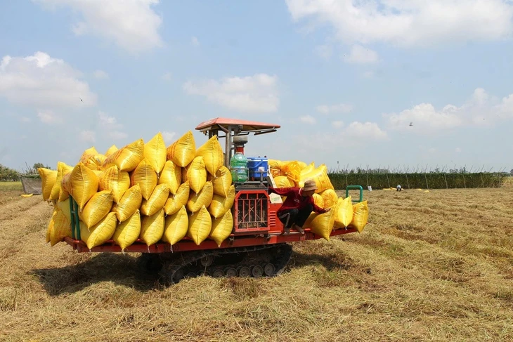 Nông dân miền Tây xoay xở với chi phí tăng Nông dân miền Tây xoay xở với chi phí tăng