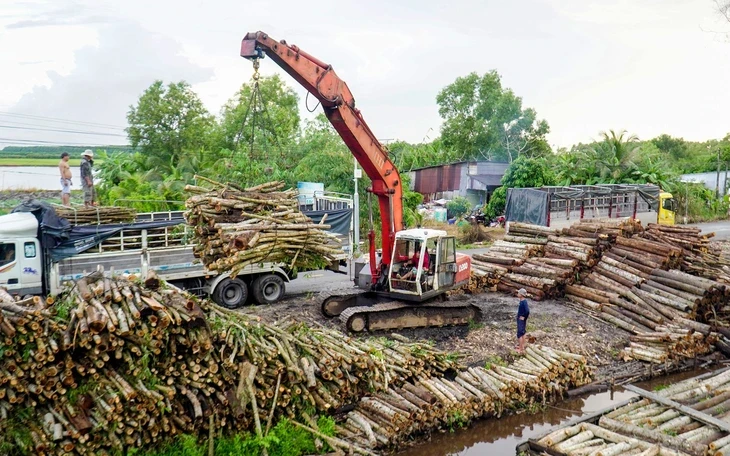 Nông dân miền Tây xoay xở với chi phí tăng Nông dân miền Tây xoay xở với chi phí tăng