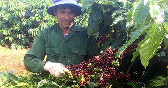 Nông nghiệp Việt Nam cần gì để đạt tham vọng xuất khẩu 1.000 tỷ USD