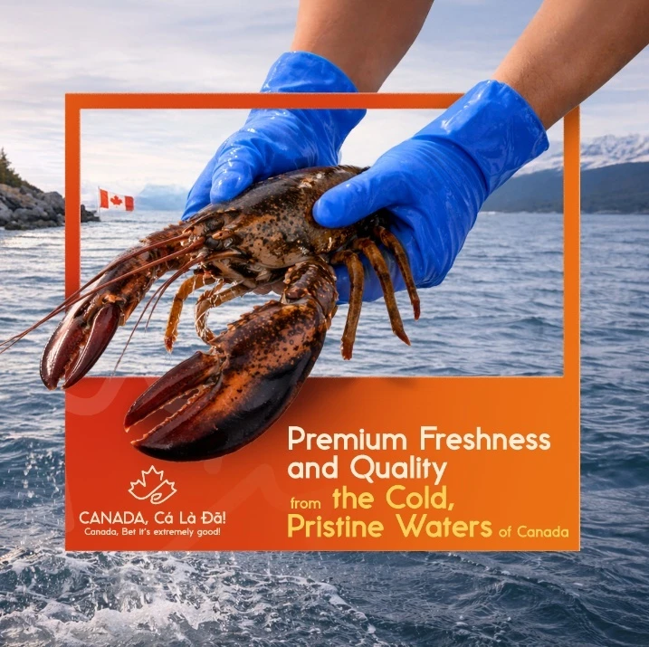 Nông sản Canada - hành trình từ trang trại Canada đến gian bếp Việt Nông sản Canada - hành trình từ trang trại Canada đến gian bếp Việt