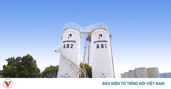 Petrolimex tiên phong triển khai xăng sinh học E10, thúc đẩy chuyển dịch năng lượng xanh