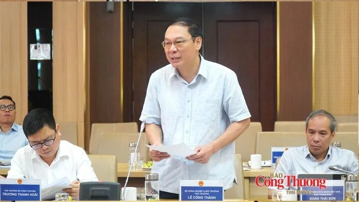 Phó Thủ tướng: EVN phải đủ mạnh để bảo đảm an ninh năng lượng Phó Thủ tướng: EVN phải đủ mạnh để bảo đảm an ninh năng lượng