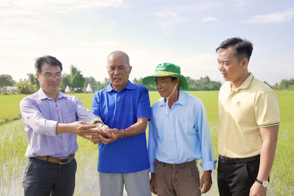 PVCFC cung cấp kiến thức và giải pháp canh tác cho nông dân PVCFC cung cấp kiến thức và giải pháp canh tác cho nông dân