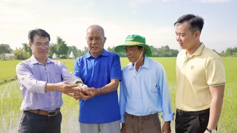 PVCFC cung cấp kiến thức và giải pháp canh tác cho nông dân