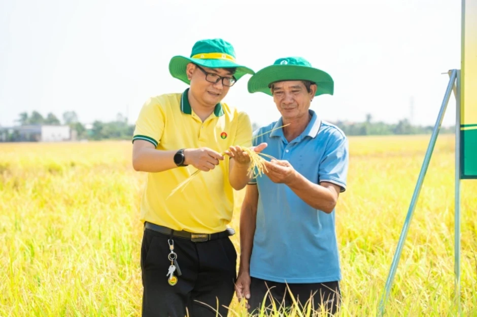 PVCFC triển khai chương trình ‘Hỗ trợ nhà nông vượt khó’ PVCFC triển khai chương trình ‘Hỗ trợ nhà nông vượt khó’