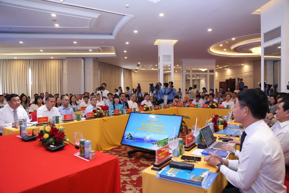 Quần thể chim yến lớn nhất châu Á ở Khánh Hòa đối diện nhiều mối đe dọa Quần thể chim yến lớn nhất châu Á ở Khánh Hòa đối diện nhiều mối đe dọa