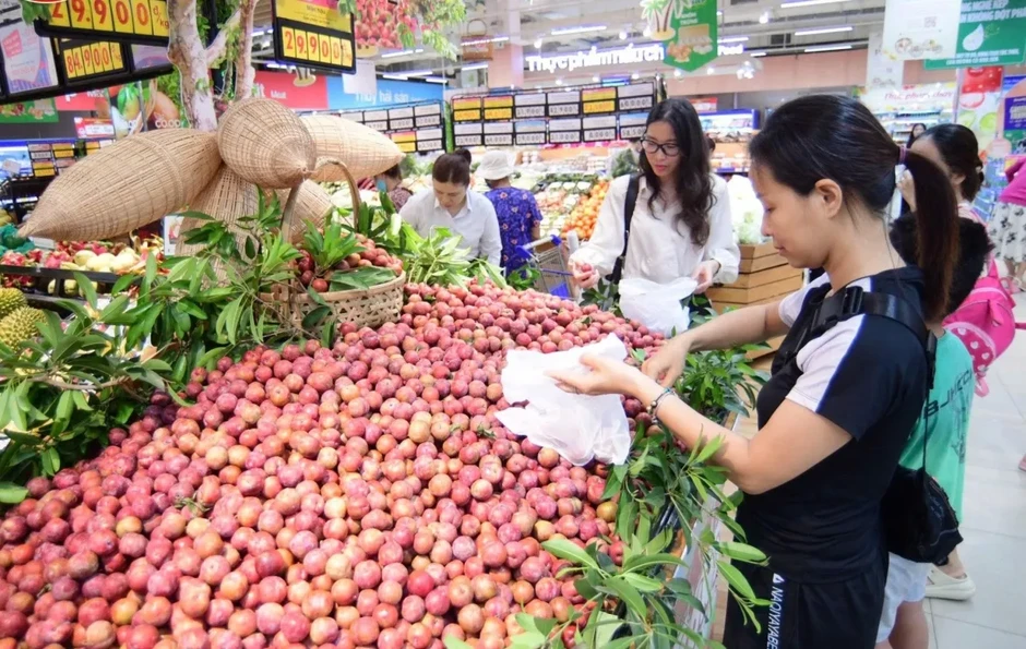 Saigon Co.op đồng hành tiêu thụ mận hậu Sơn La, giá tốt hơn thị trường đến 50% Saigon Co.op đồng hành tiêu thụ mận hậu Sơn La, giá tốt hơn thị trường đến 50%