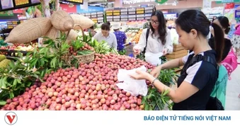 Saigon Co.op đồng hành tiêu thụ mận hậu Sơn La, giá tốt hơn thị trường đến 50%