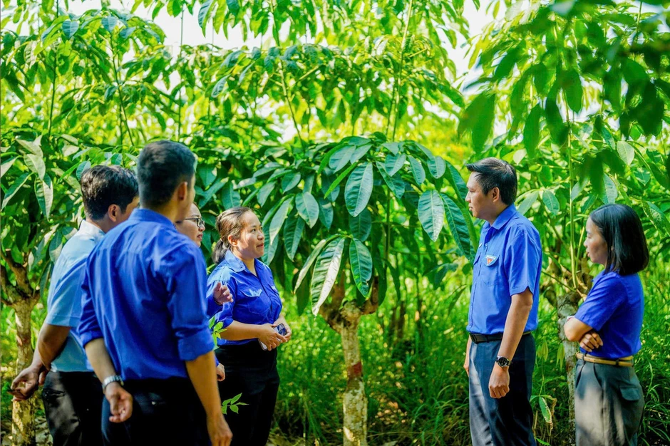 Tận thấy 'kho báu' hơn 3.800 gen cao su hiếm giữa lòng Đông Nam Bộ