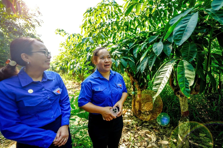 Tận thấy 'kho báu' hơn 3.800 gen cao su hiếm giữa lòng Đông Nam Bộ