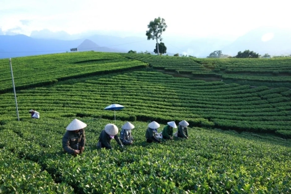 'Tập đoàn lớn không đo bằng quy mô' 'Tập đoàn lớn không đo bằng quy mô'