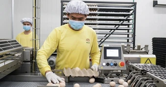 Tây Ninh lấy tiêu chuẩn ESG làm thước đo thu hút đầu tư chất lượng cao