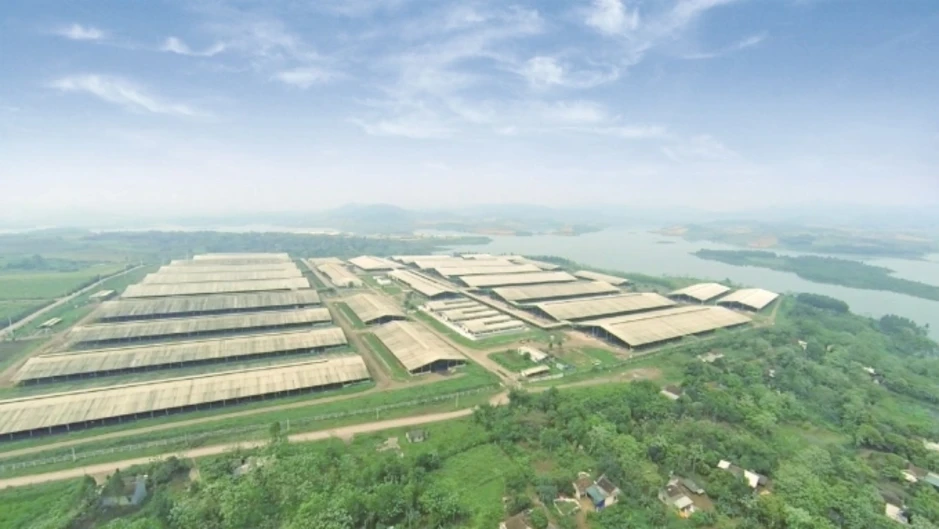 TH đồng hành phát triển nguồn nhân lực vùng biên Quảng Ngãi