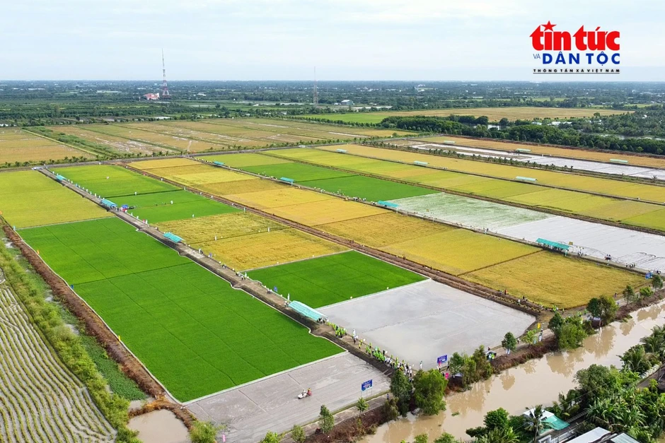 Tháo gỡ điểm nghẽn, mở đường cho xuất khẩu nông lâm thủy sản vượt 74 tỷ USD Tháo gỡ điểm nghẽn, mở đường cho xuất khẩu nông lâm thủy sản vượt 74 tỷ USD