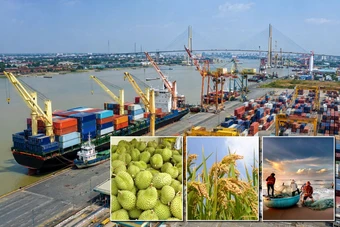 Tháo gỡ điểm nghẽn, mở đường cho xuất khẩu nông lâm thủy sản vượt 74 tỷ USD
