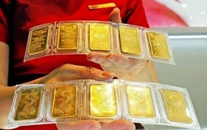 Tỷ phú Nguyễn Thị Phương Thảo trở thành Giáo sư từ khi nào? Tỷ phú Nguyễn Thị Phương Thảo trở thành Giáo sư từ khi nào?