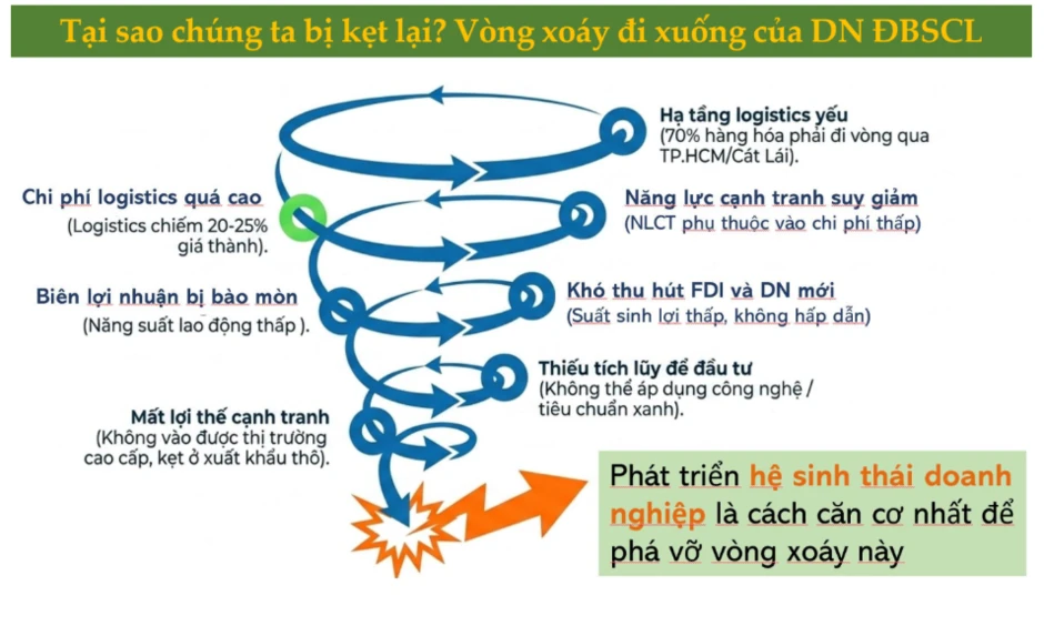 'Vấn đề không phải thiếu doanh nghiệp, mà là doanh nghiệp không lớn được' 'Vấn đề không phải thiếu doanh nghiệp, mà là doanh nghiệp không lớn được'