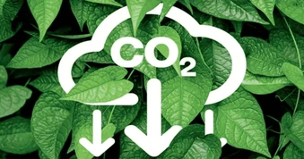 Việt Nam chính thức có sàn carbon, giá bán 1 tín chỉ bao nhiêu là hợp lý?
