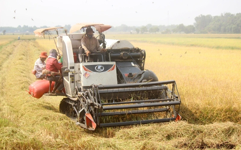 Việt Nam có thể nhập tới 3,9 triệu tấn gạo trong năm 2026, vì sao? Việt Nam có thể nhập tới 3,9 triệu tấn gạo trong năm 2026, vì sao?
