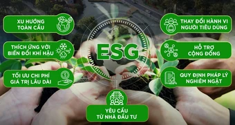 Việt Nam trước cơ hội hút vốn ESG toàn cầu