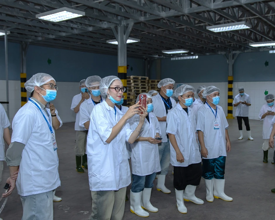 Vietcoco: Hành trình bền vững đến chất lượng theo chuẩn toàn cầu nâng tầm dừa Việt Vietcoco: Hành trình bền vững đến chất lượng theo chuẩn toàn cầu nâng tầm dừa Việt