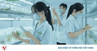 ViGen: Thiết lập "tiêu chuẩn vàng" cho ngành giống cây trồng cấy mô Việt Nam