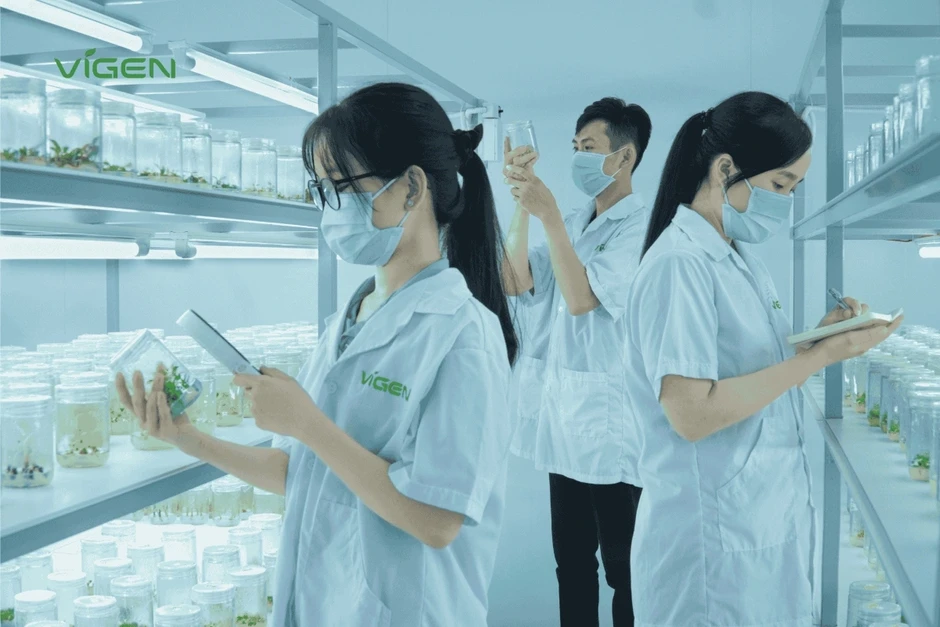 ViGen: Thiết lập "tiêu chuẩn vàng" cho ngành giống cây trồng cấy mô Việt Nam ViGen: Thiết lập "tiêu chuẩn vàng" cho ngành giống cây trồng cấy mô Việt Nam