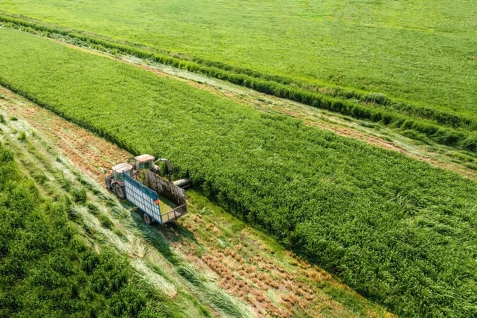 Vinamilk là hãng sữa Việt duy nhất vào Top 500 Fortune Đông Nam Á Vinamilk là hãng sữa Việt duy nhất vào Top 500 Fortune Đông Nam Á