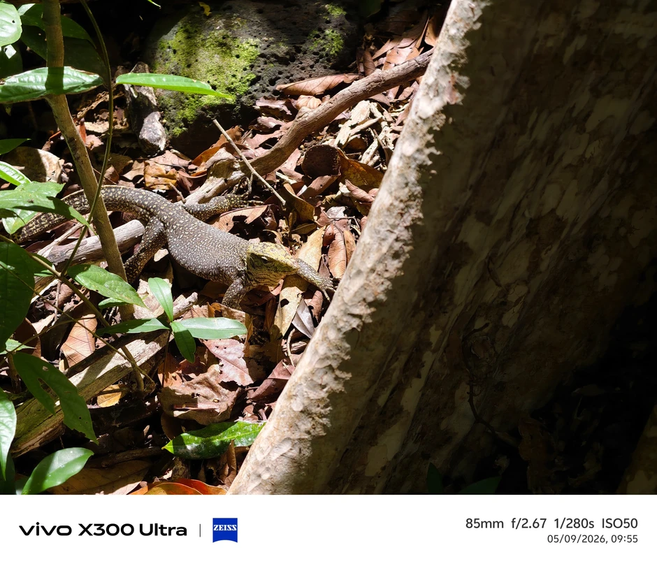 Vivo X300 Ultra bắt trọn nhịp thở rừng xanh qua dự án đồng hành UNESCO Vivo X300 Ultra bắt trọn nhịp thở rừng xanh qua dự án đồng hành UNESCO