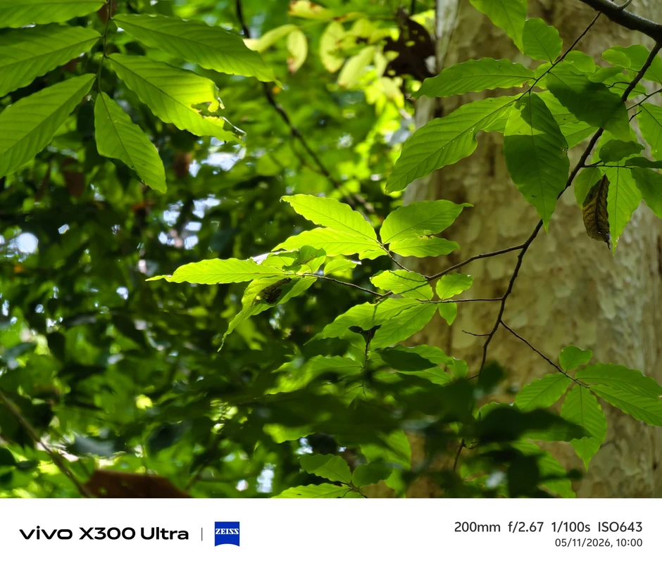 Vivo X300 Ultra bắt trọn nhịp thở rừng xanh qua dự án đồng hành UNESCO Vivo X300 Ultra bắt trọn nhịp thở rừng xanh qua dự án đồng hành UNESCO