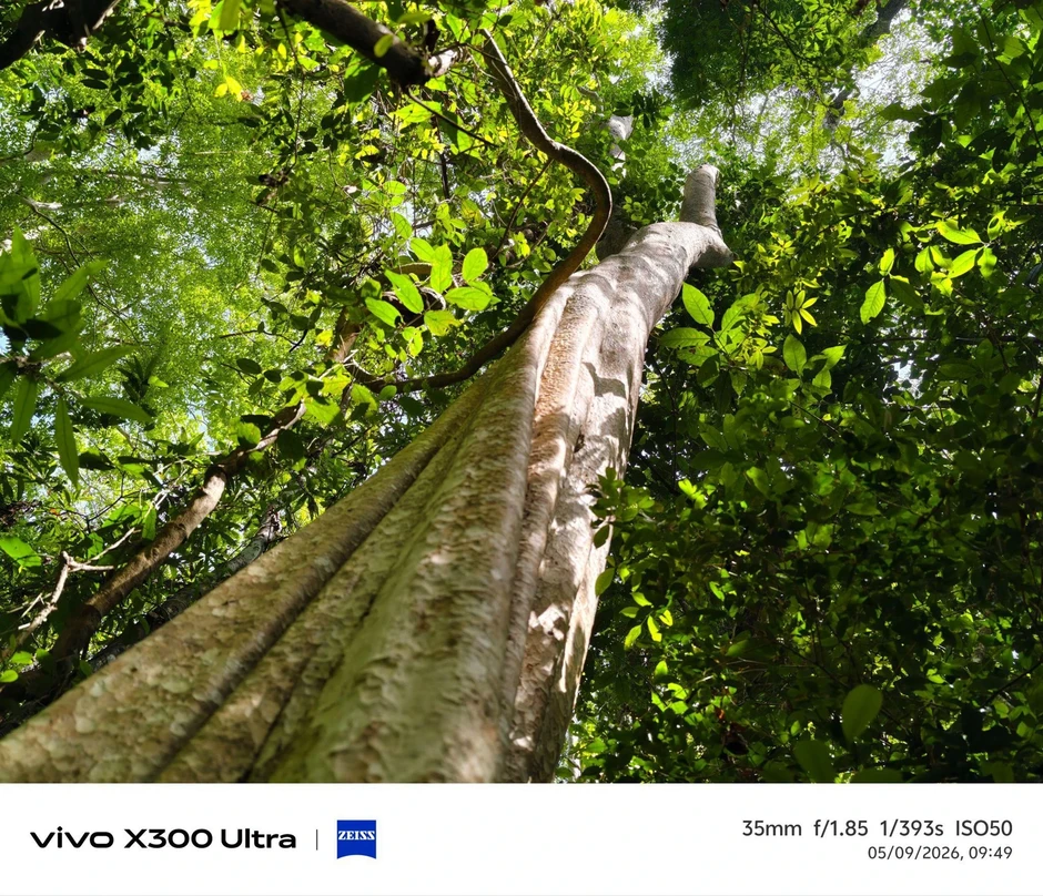 Vivo X300 Ultra bắt trọn nhịp thở rừng xanh qua dự án đồng hành UNESCO Vivo X300 Ultra bắt trọn nhịp thở rừng xanh qua dự án đồng hành UNESCO