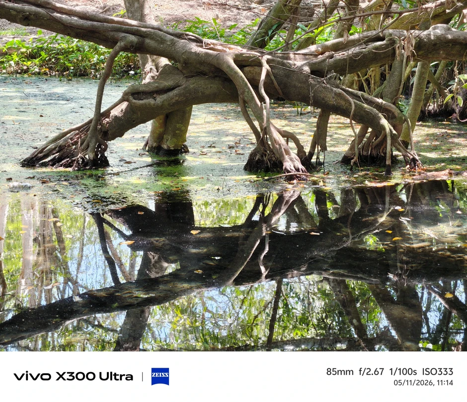 Vivo X300 Ultra bắt trọn nhịp thở rừng xanh qua dự án đồng hành UNESCO Vivo X300 Ultra bắt trọn nhịp thở rừng xanh qua dự án đồng hành UNESCO