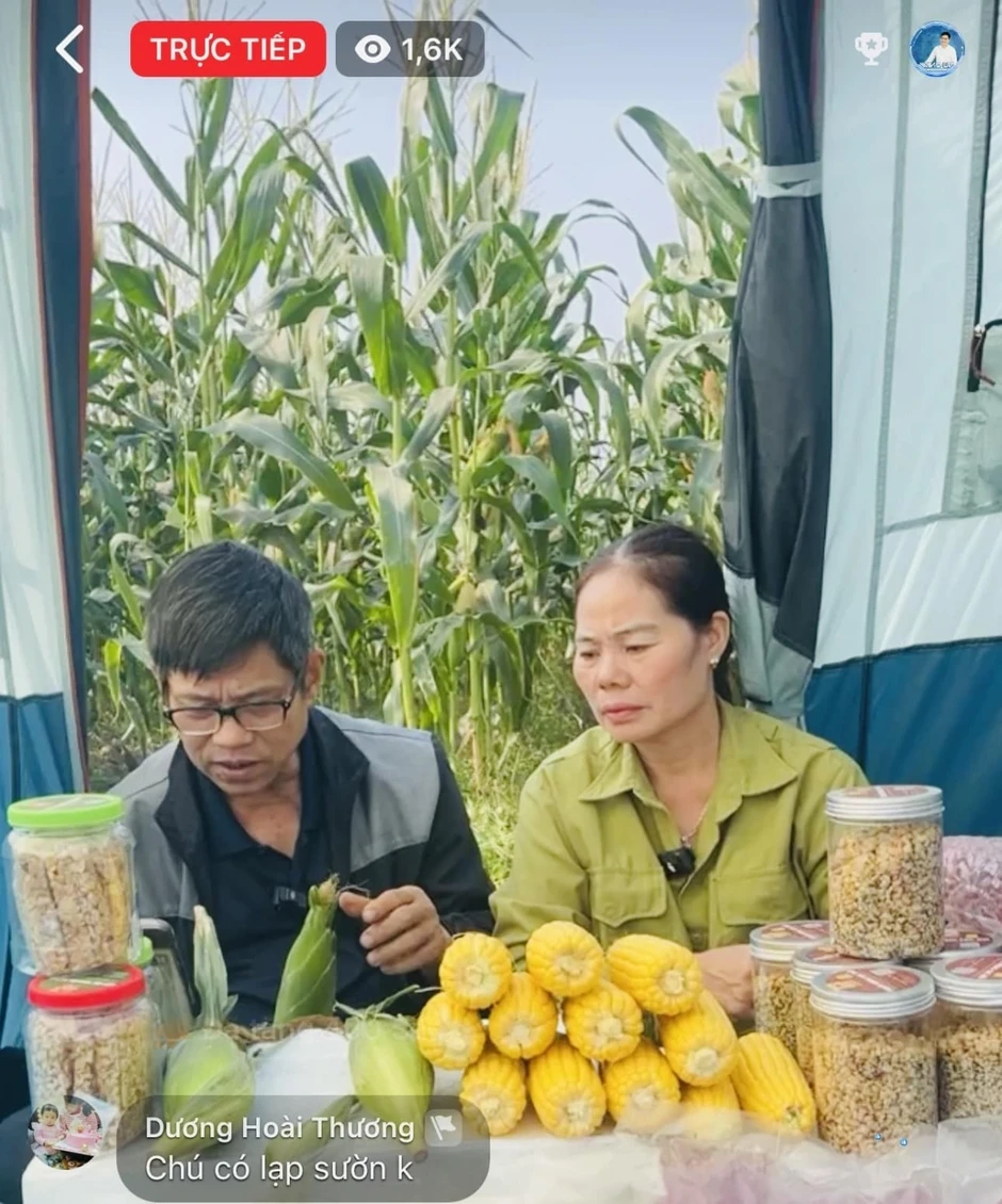 Wind Media: Cùng nhà sáng tạo nội dung và nhãn hàng tạo nên giá trị bền vững Wind Media: Cùng nhà sáng tạo nội dung và nhãn hàng tạo nên giá trị bền vững
