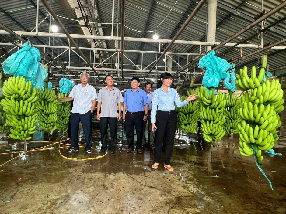 Xóa bỏ “lời nguyền” nuôi cua lột bằng AI, tỷ lệ sống tăng từ 10% lên 90% Xóa bỏ “lời nguyền” nuôi cua lột bằng AI, tỷ lệ sống tăng từ 10% lên 90%